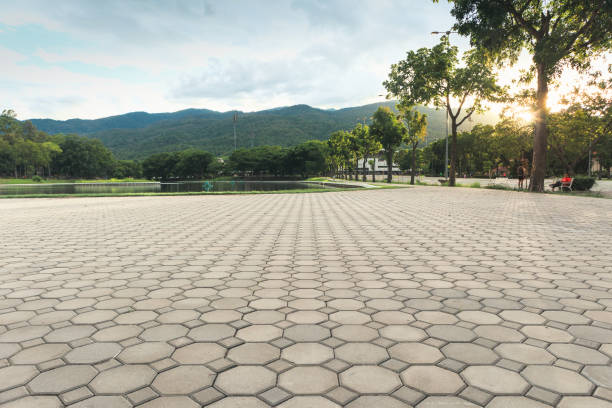 Best Decorative Driveway Pavers  in Barnesville, GA